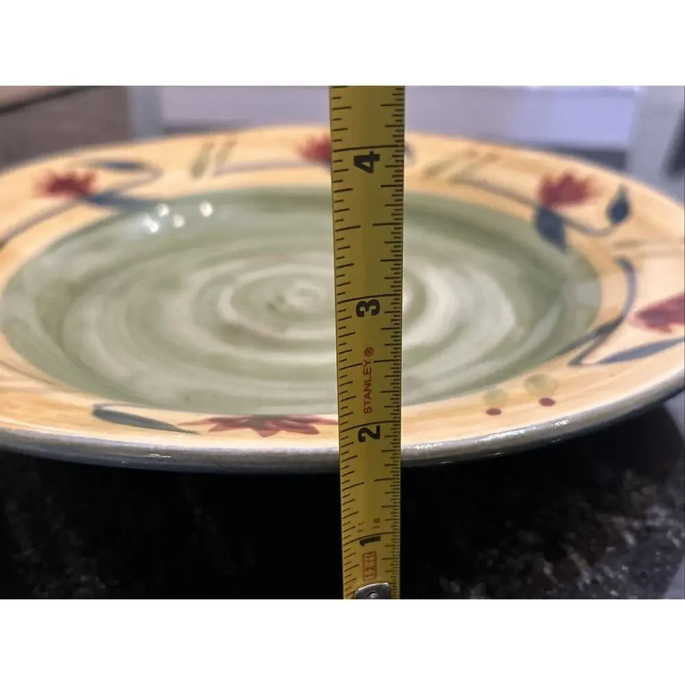 Pier 1 Elizabeth Stoneware Dinner Plate Handpainted Dishwasher Safe 11.5